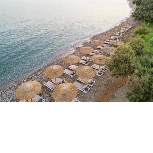 Samaina Inn