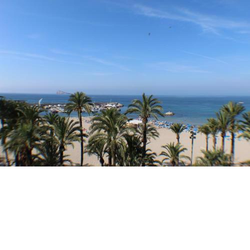 San Pedro ll Centro Beach