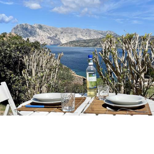 SAN TEODORO PUNTA EST MONOLOCALE VISTA MARE