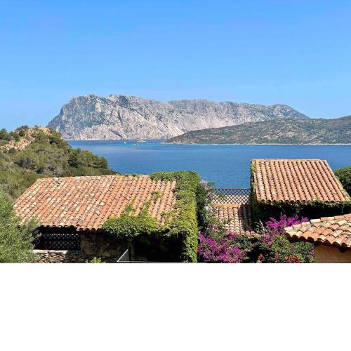 SAN TEODORO PUNTA EST TRILOCALE VISTA MARE