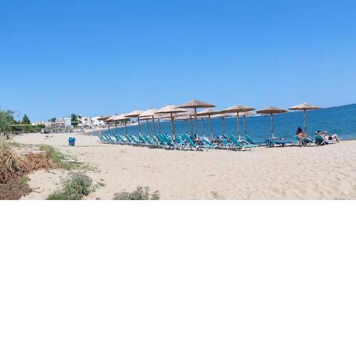 sand and sea 2