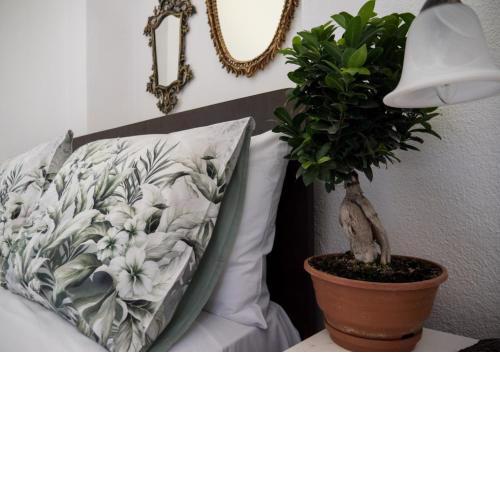 SANTA CRUZ country cottage