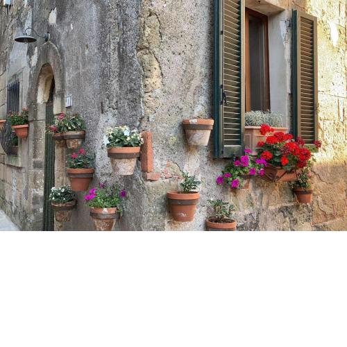 Santa Monaca Medieval House