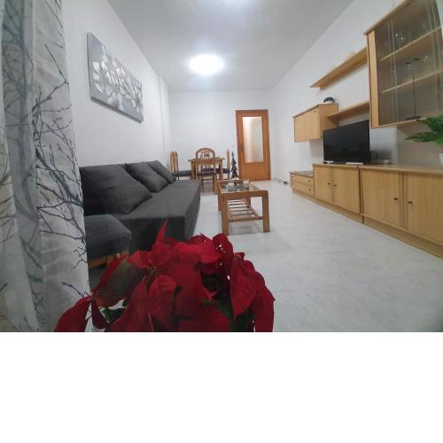 Santa Pola Marina Apartments