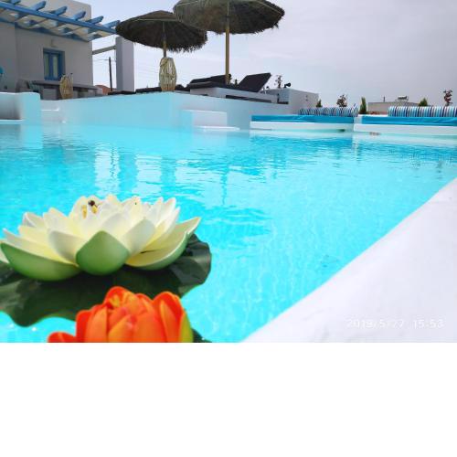 Santoxenia luxury villa