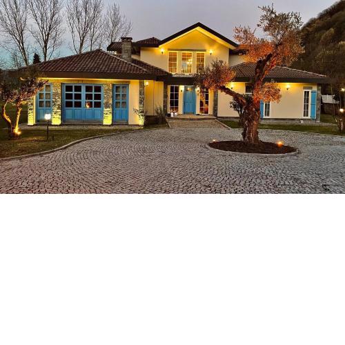 Sapanca Grand House