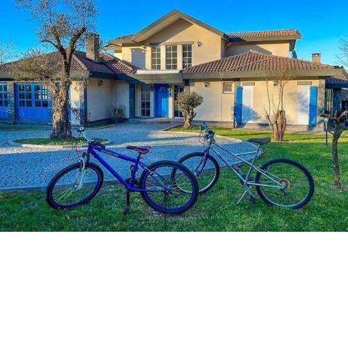 Sapanca Grand House
