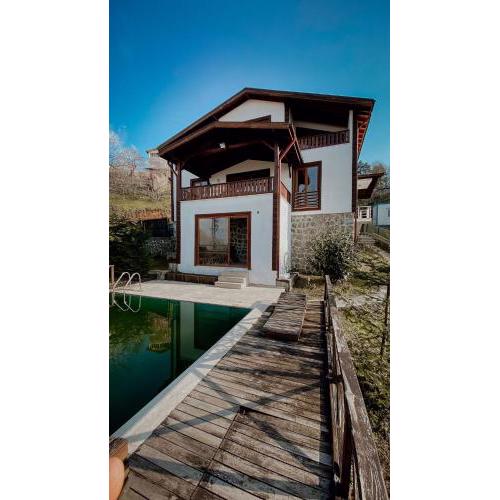 Sapanca villa alis