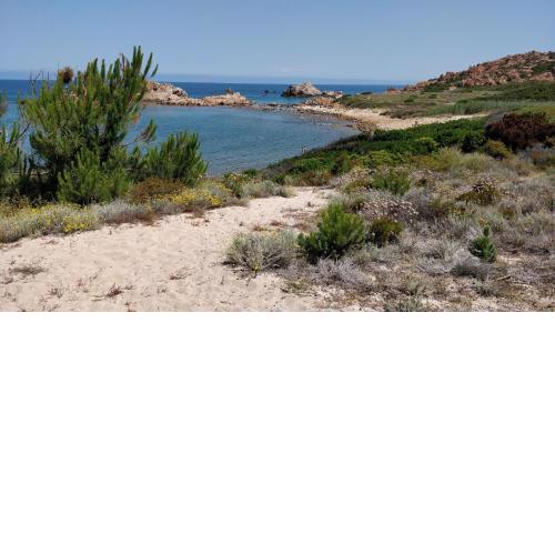 Sardegna per 5