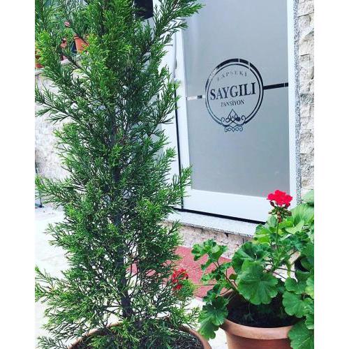 Saygılı Pan-Hotel