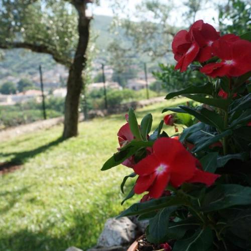 SCAPPO IN UMBRIA, la casa di Giuliana