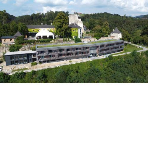 Schatz.Kammer Burg Kreuzen