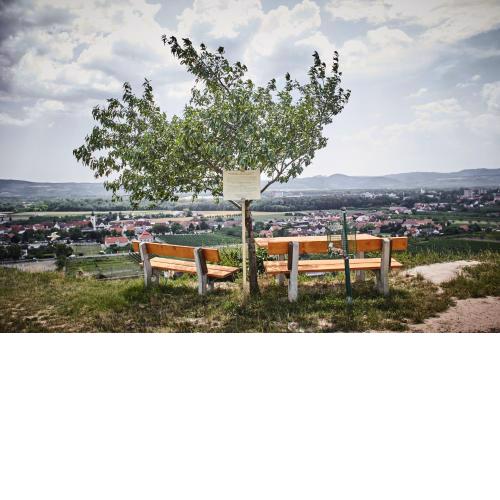 Schmankerl und Gast