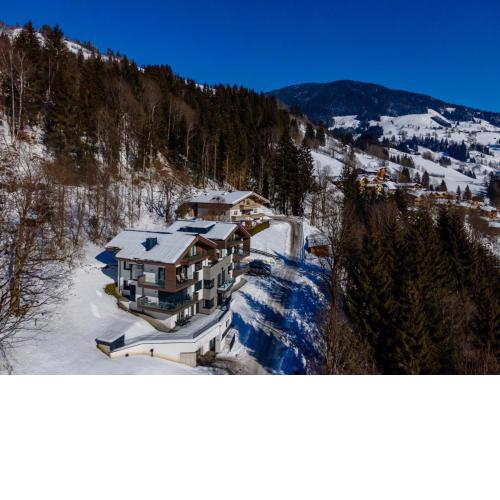 Schmittenblick 2