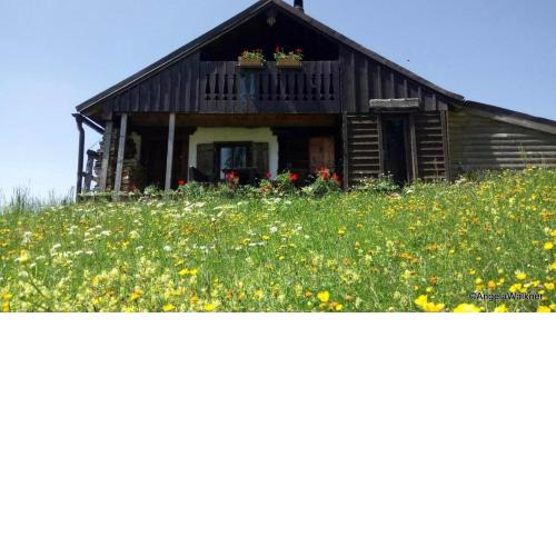 Schnaitstadlhütte