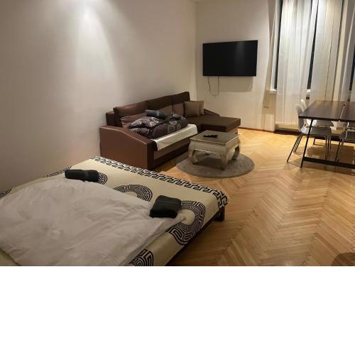 Schöne Wohnung in der Wiener Innenstadt