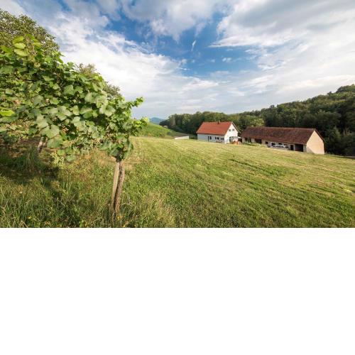 Schwalbennest Pongratz
