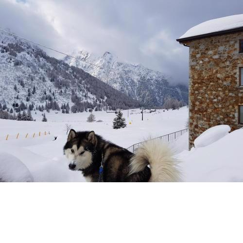 SCI AI PIEDI,PASSEGGIATE,MOUNTAIN BIKE,RELAX