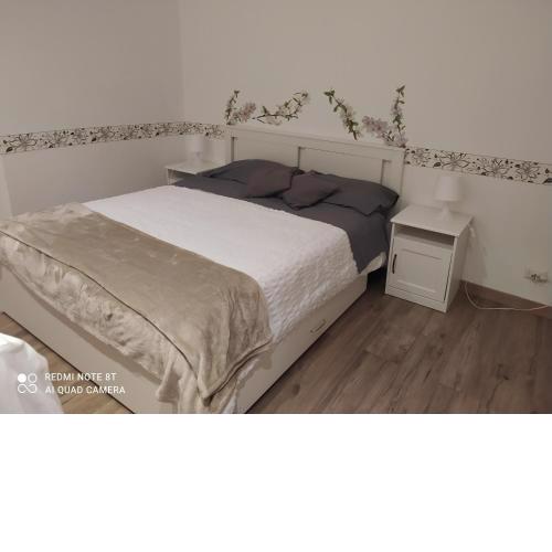 Scipioni's apartament a 300mt da San Pietro