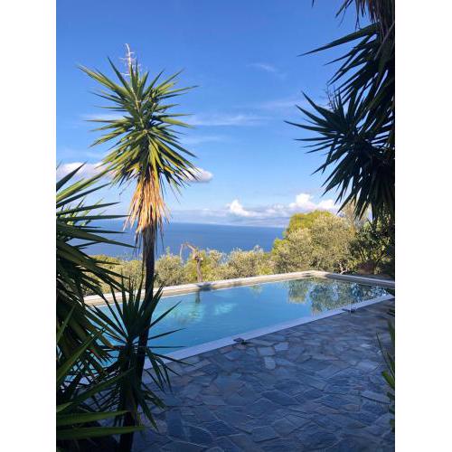 SEA BREEZE STUDIO