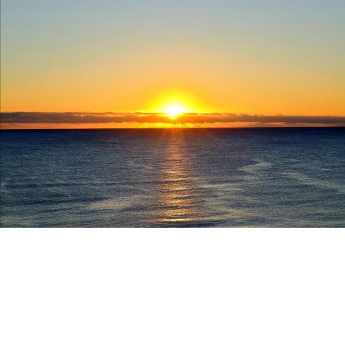Sea Senses