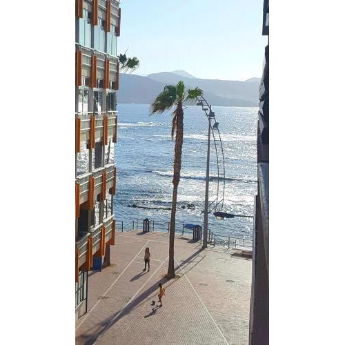 Sea Stars Las Canteras