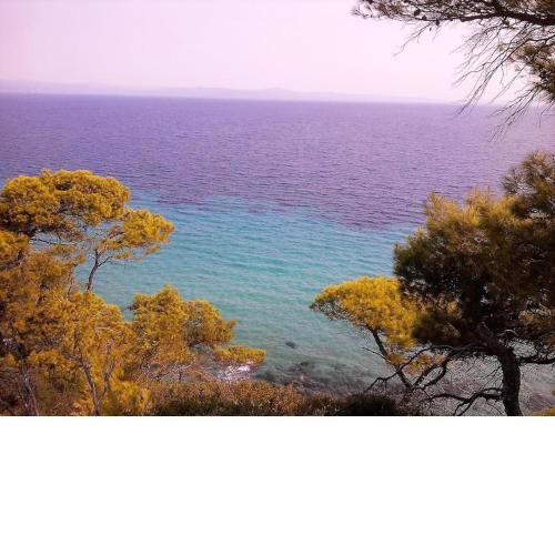 Sea view 4 bedroom house with pool and garden