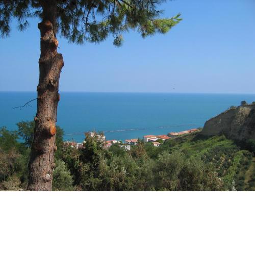 Sea view apartment 10 minute walk to the sea
