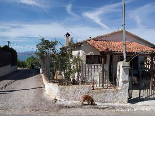 Sea view Dilesi