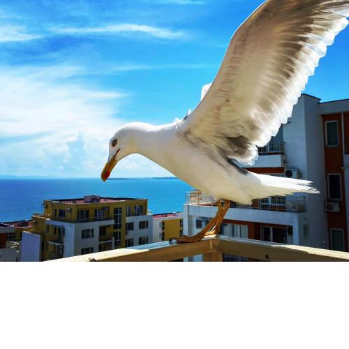 Sea View Panoramic Apartment