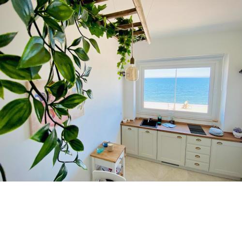Seafront Holidays & Workstays