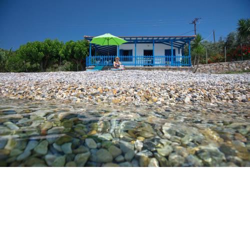 Seahorse cottage