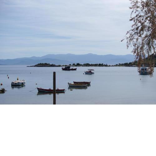 Seaside Resort