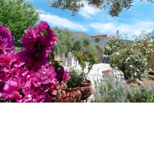 Seaside Serenity - Stylish Villa with Breathtaking Views