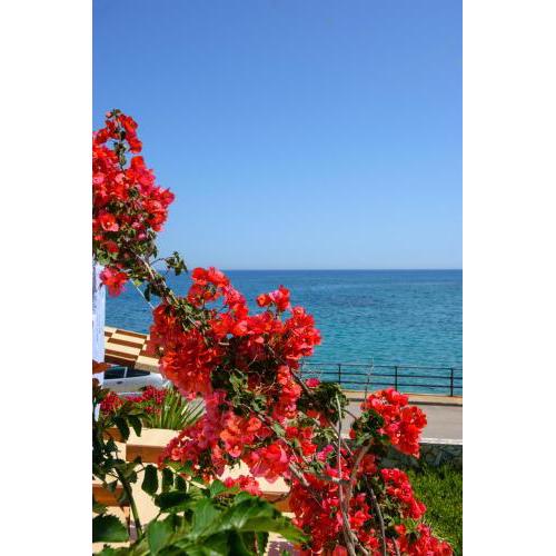 Seaside Studios