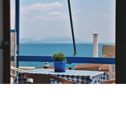 Seaview- 2 Space - selfcatering Apartment - Helen No 3