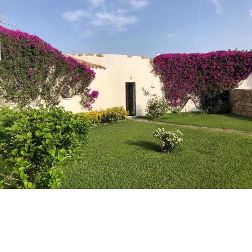 Seaview Apartment in Porto Cervo