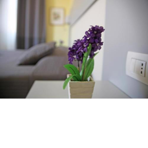 Seawall Holiday Home