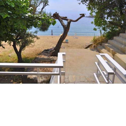 Secret Bay