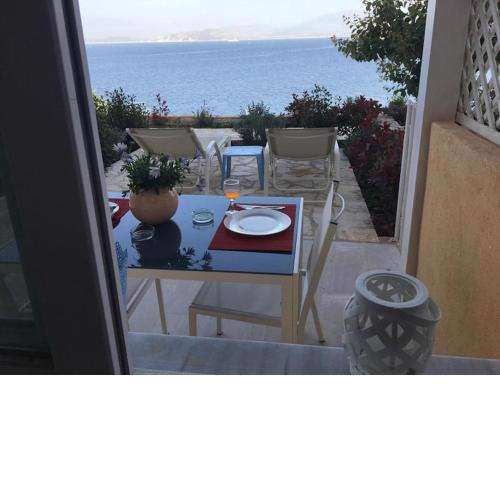 See the sea 2
