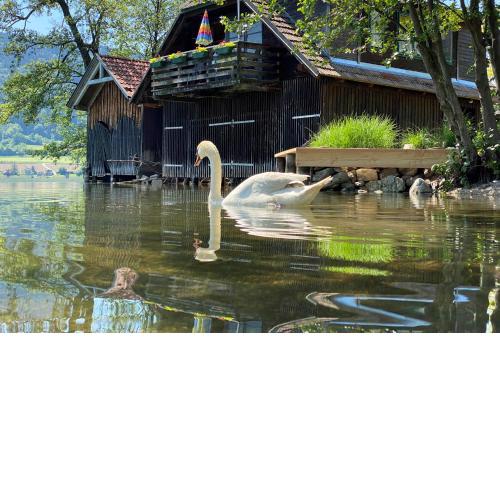 Seehaus direkt am Ossiachersee