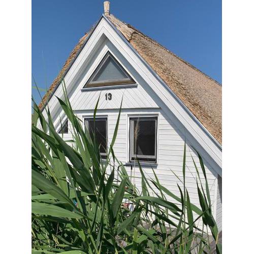 Seehütte Neusiedlersee - Urlaub am Wasser