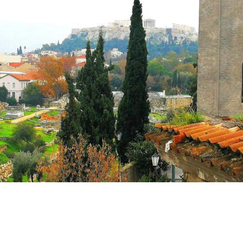 Semedaki-modern living in the centre of history