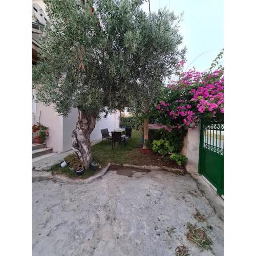 Semelia's Guest house