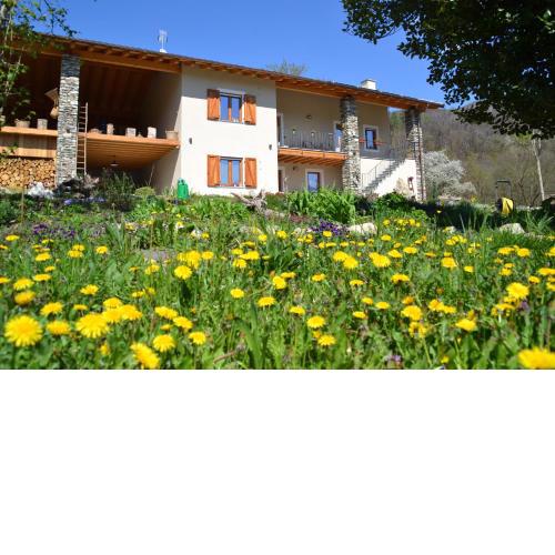 SEMI AL VENTO: la bio-casa nel giardino incantato!