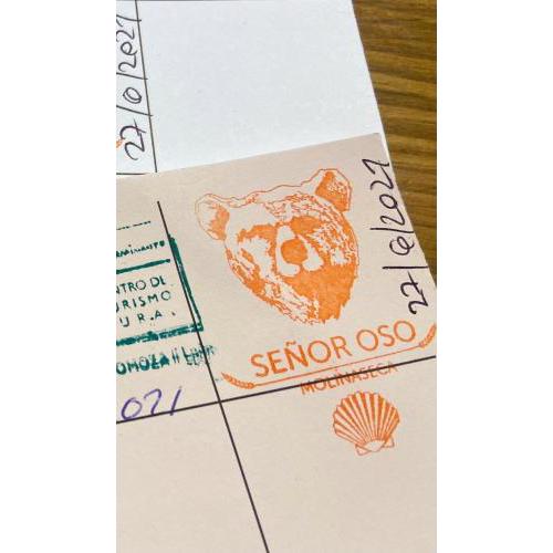 SEÑOR OSO