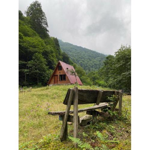 Senoz Mountain House - Bungalow