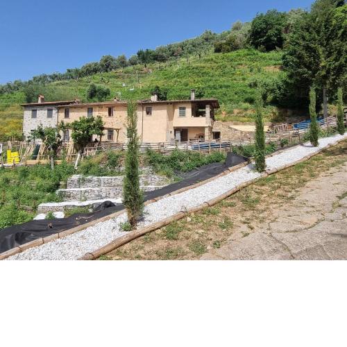 Serene apartment in Pietrasanta with private pool