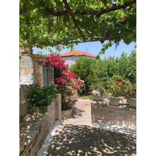 Sergios Village House