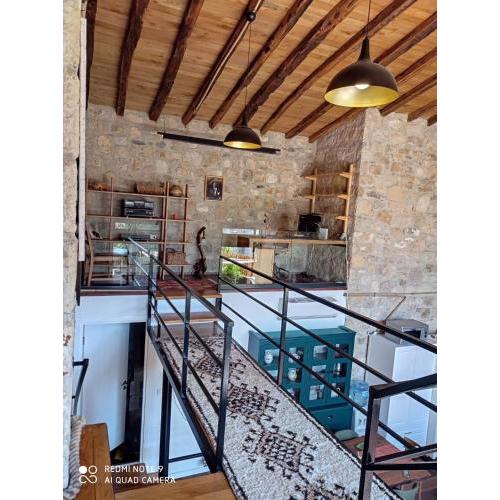 Serpil house